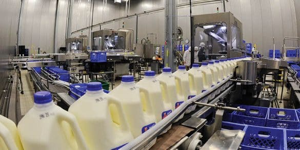 Proceso Productivo De La Leche 5 Etapas Más Importantes 3390